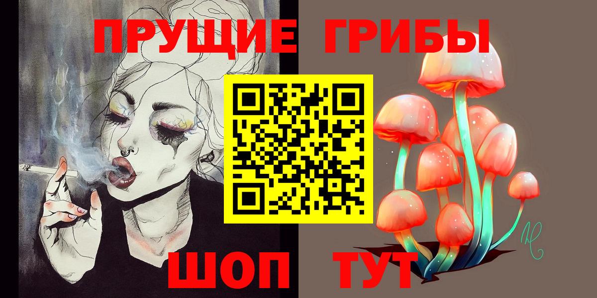 Галлюциногенные грибы Psilocybe Донской