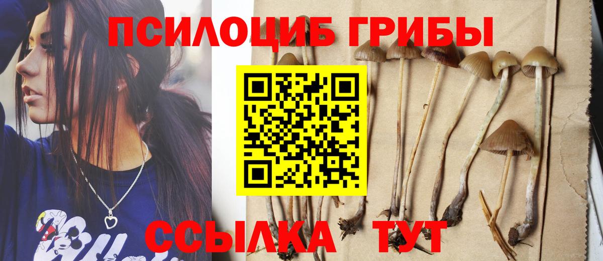 Донской  Псилоцибиновые грибы MAGIC MUSHROOMS  Вход с VPN 