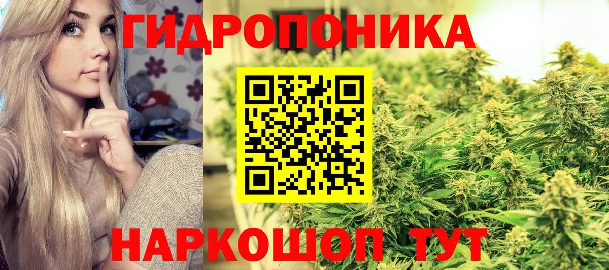 Бошки Шишки гибрид Донской